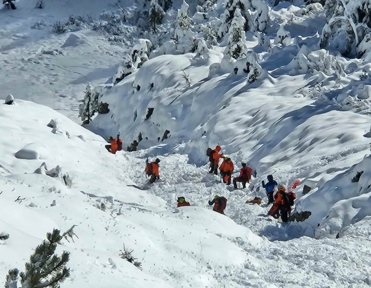 1759729636_1759726766_Posnetek_zaslona_2025.format-avif.width-120