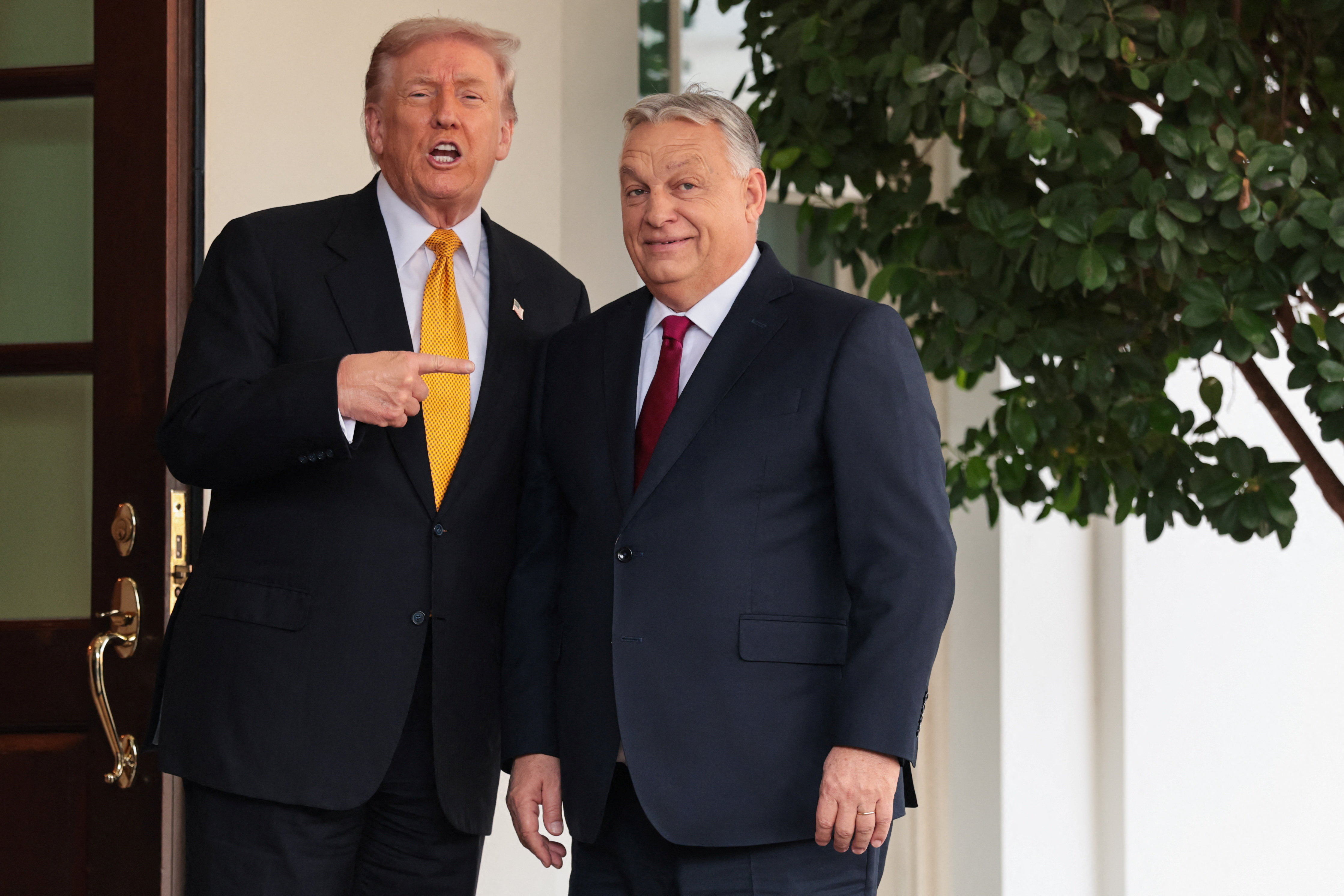 trump orban