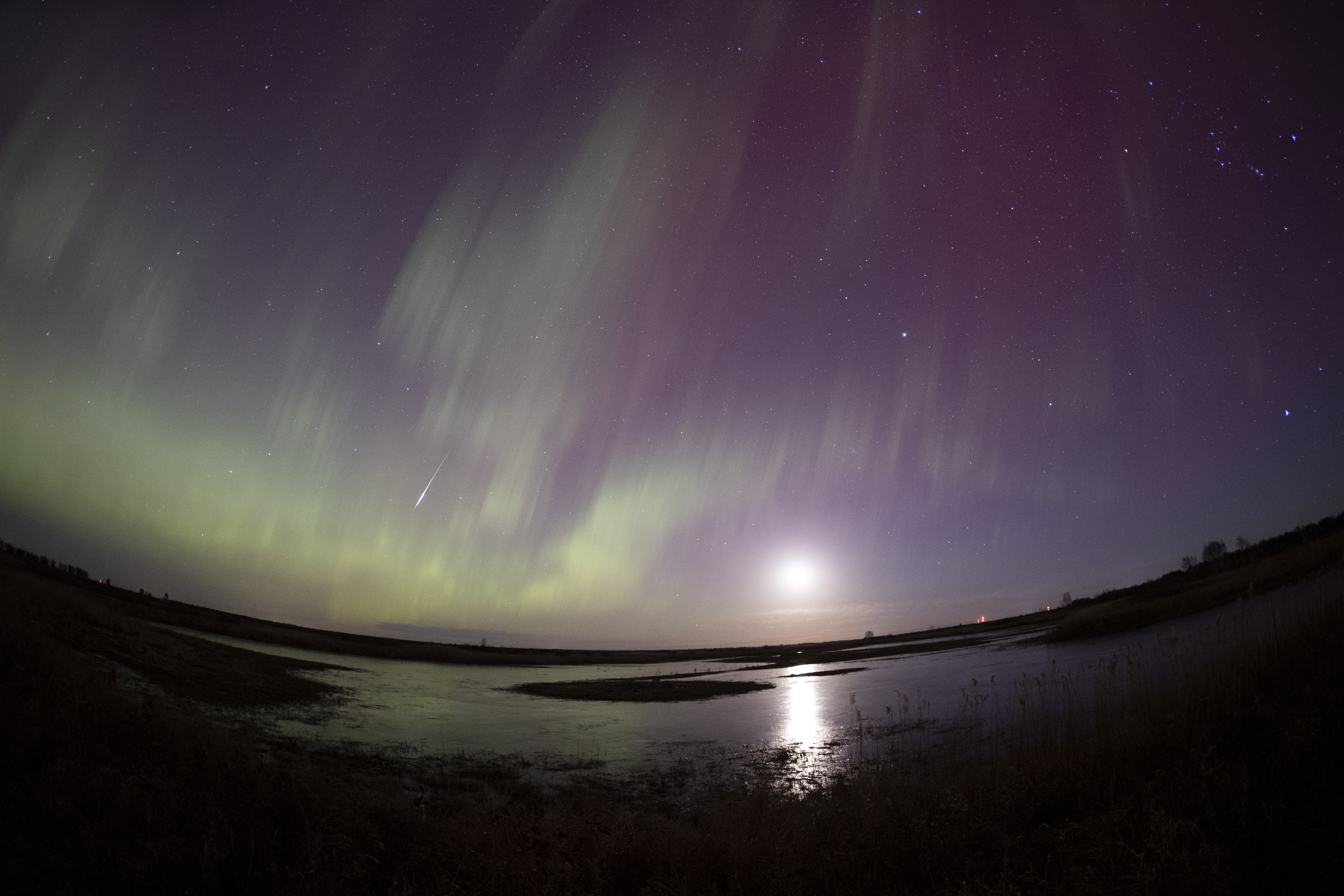 MINNESOTA, SJEDINJENE AMERIČKE DRŽAVE - 11. NOVEMBAR: Aurora pleše noćnim nebom iznad Princetona, Minnesota, Sjedinjene Američke Države, 11. novembra 2025. godine. ( Christopher Juhn - Anadolu Agency )