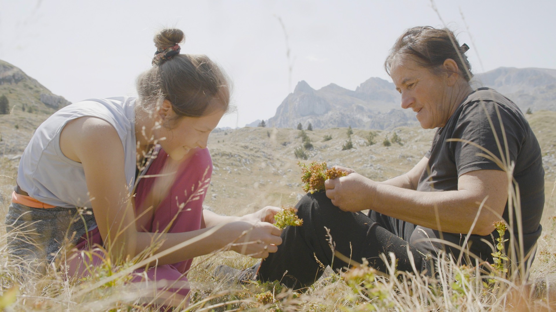 thumbnail_Still Planina (2) - foto Eva Kraljevic, copyright WAKE UP FILMS.jpg