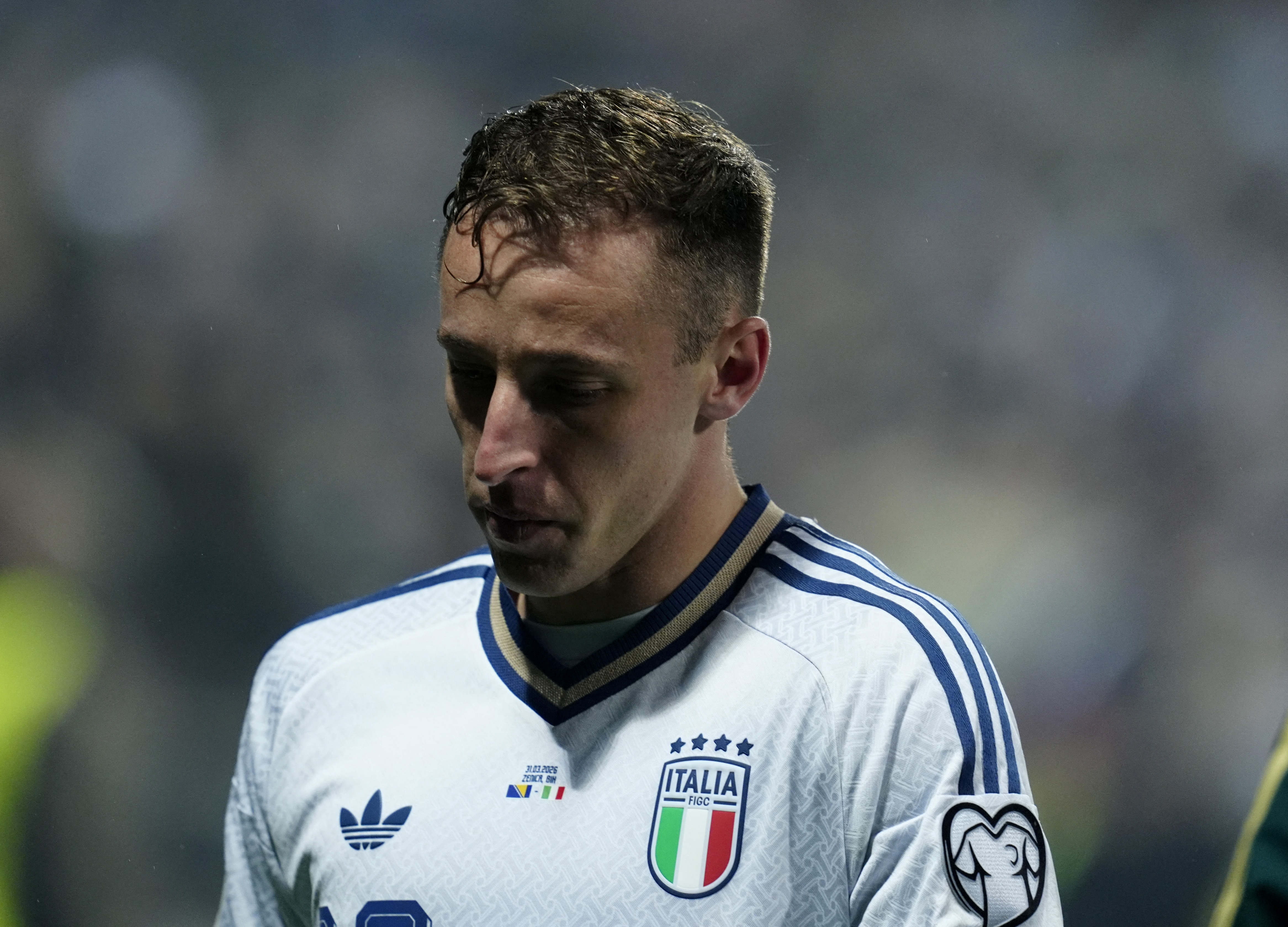 Soccer Football - FIFA World Cup - UEFA Qualifiers - Finals - Bosnia and Herzegovina