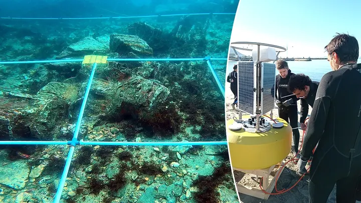 SPAIN-SHIPWRECK-STRAIT-OF-GIBRALTAR-ANCIENT-HISTORY-DISCOVERY-ARCHAEOLOGY-1