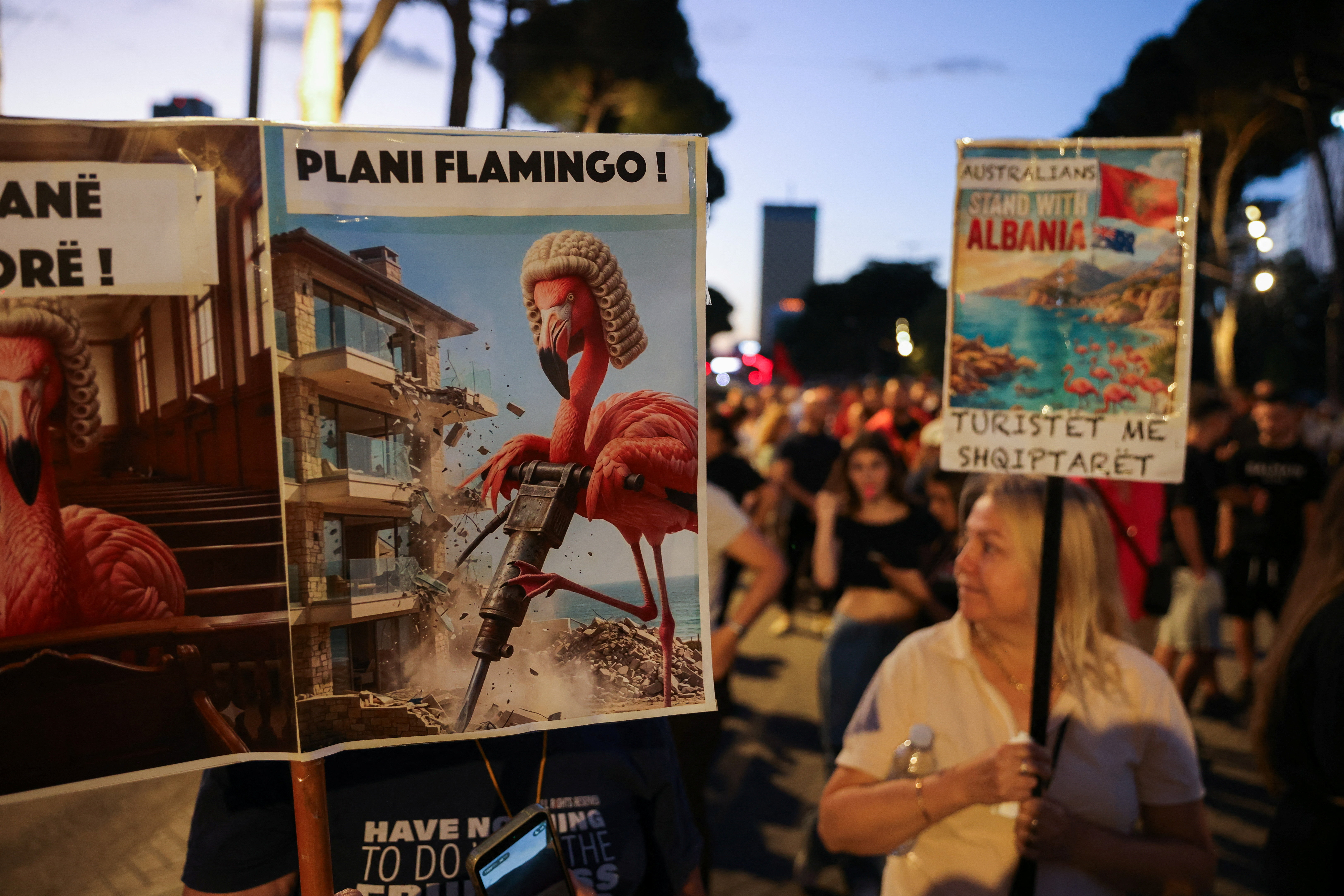 flamingo revolucija albanija