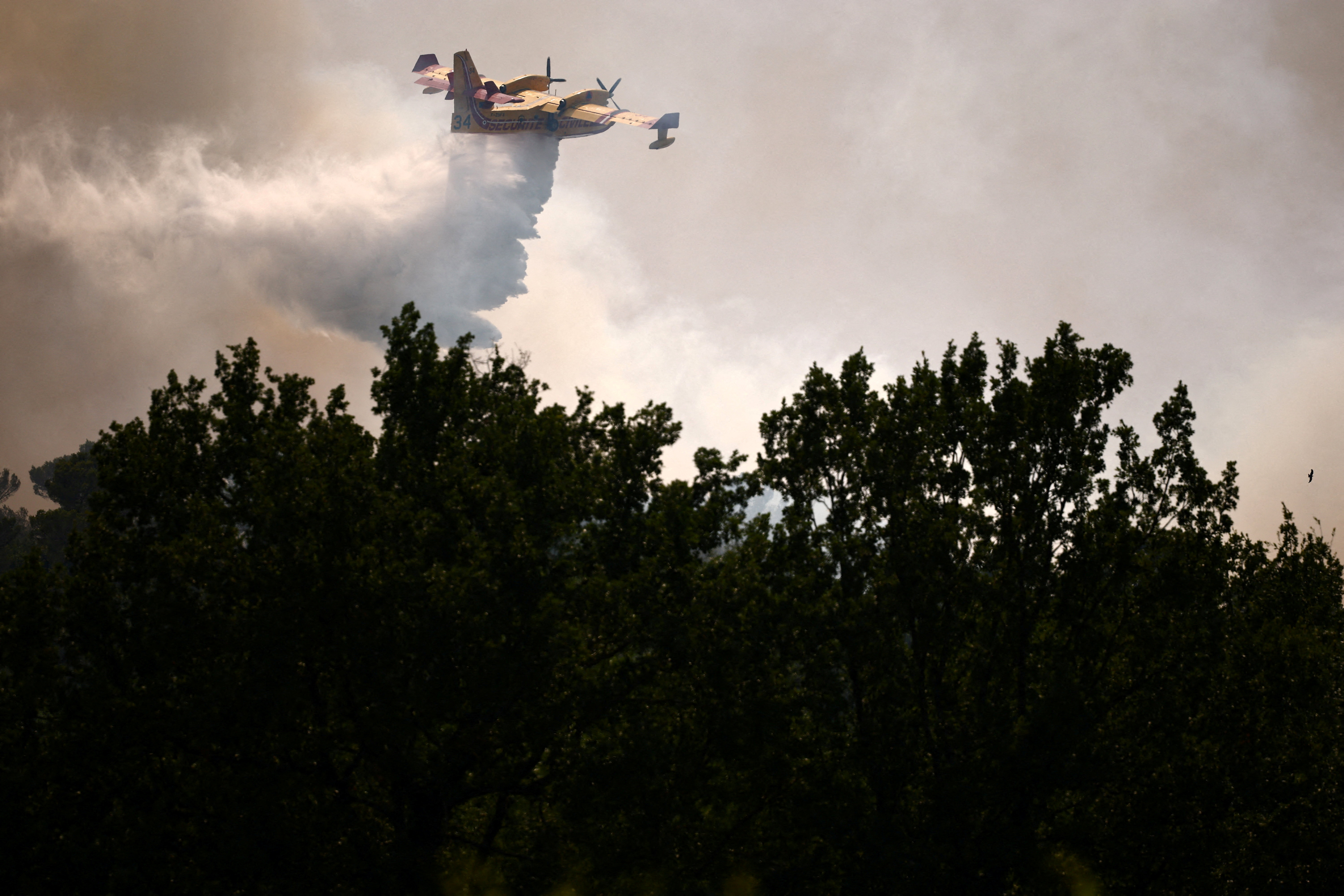 A Canadair firefighting aircraft drops water to battle a wildfire