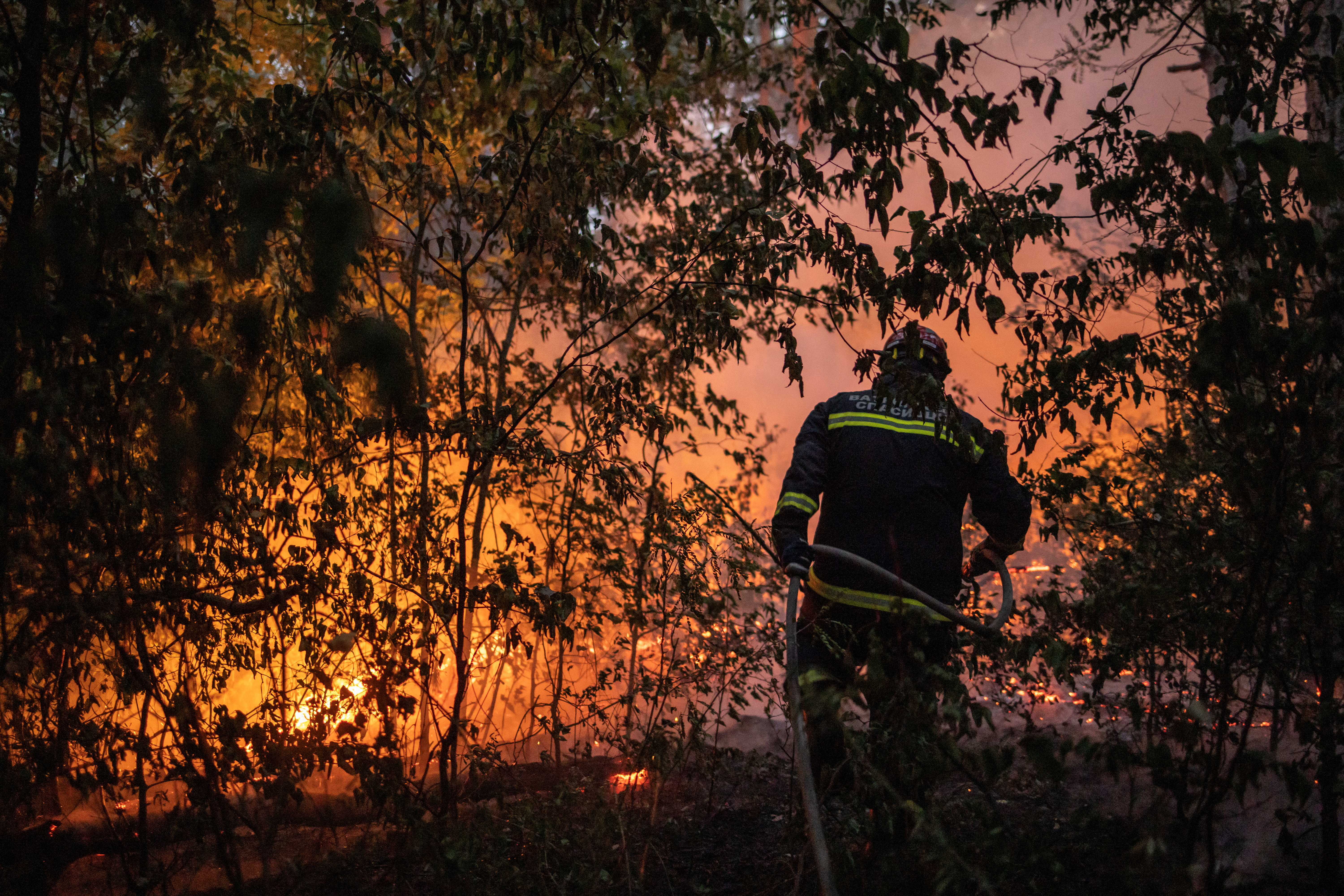 A firefighter battles a wildfire in Deliblatska Pescara, Serbia, August 18, 2026. REUTERS/Marko Djurica