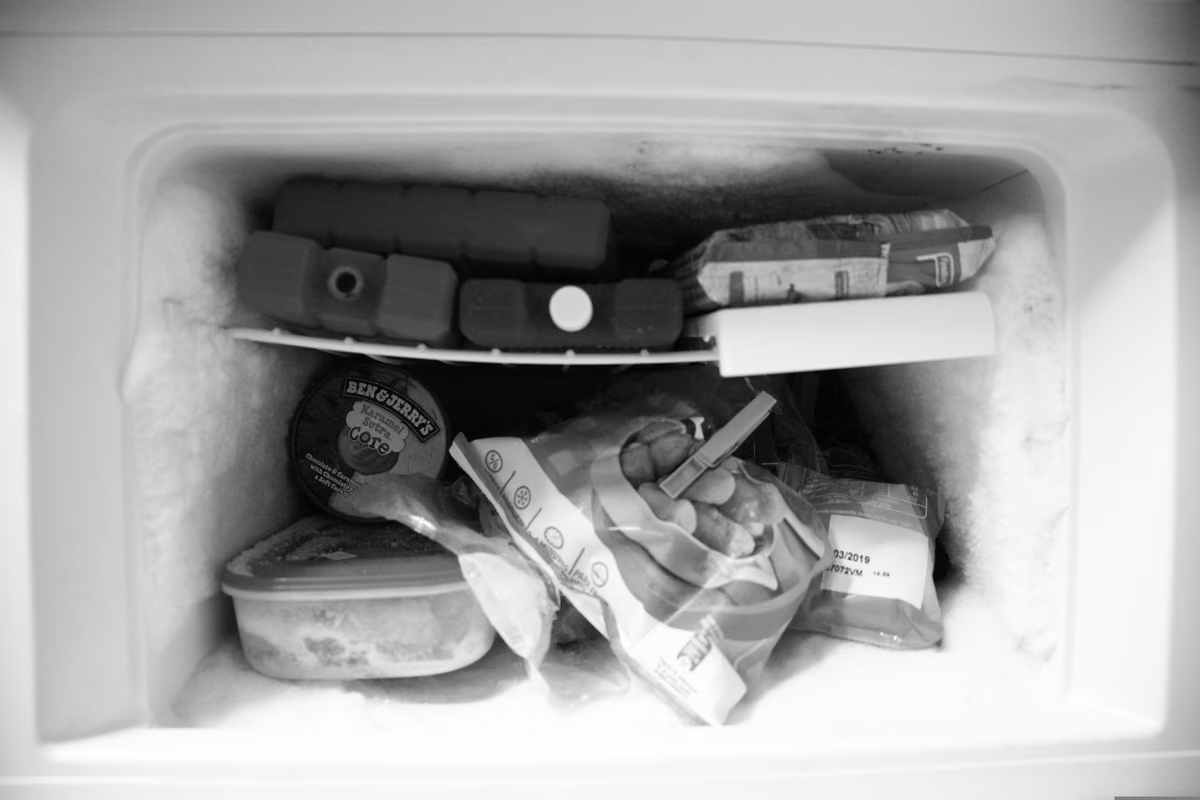 1788511825_juliopablo-freezer-26.format-avif.width-1200