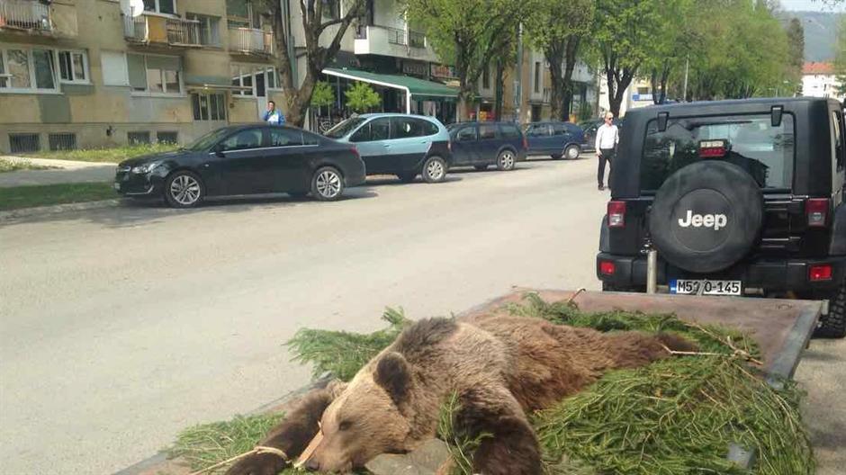 17917475_1027370274062202_4539711830355009409_o