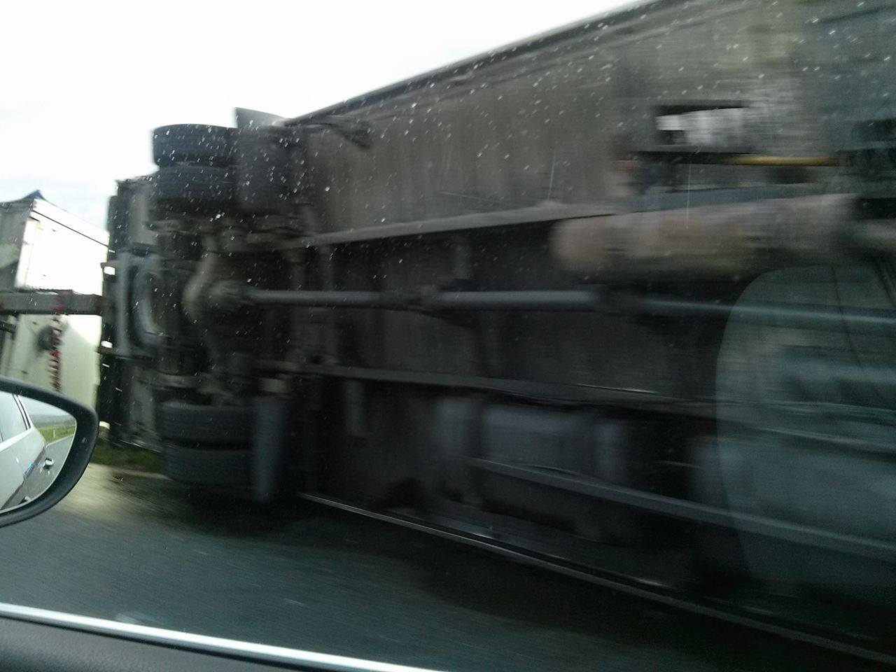 18195401_1470232919674519_134007072_o