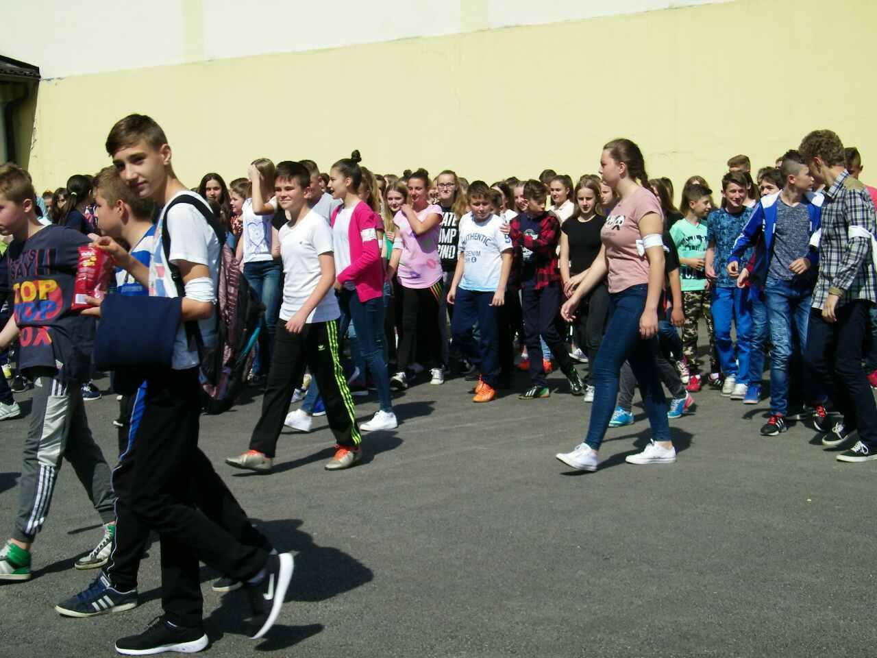 18870143_1890384921237977_161018757_o