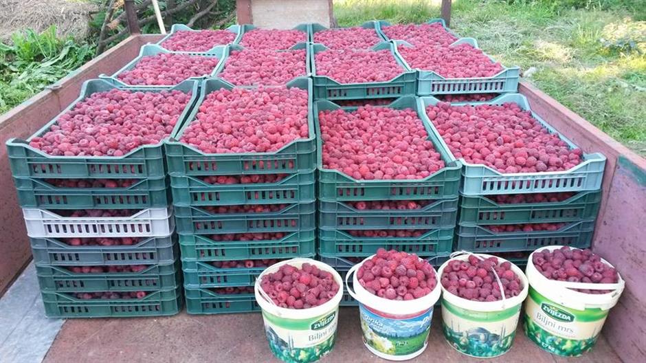 19424467_1290705894390091_8554767928789300189_n