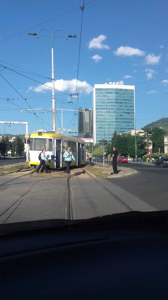 19621834_10154825142213693_514117861_n