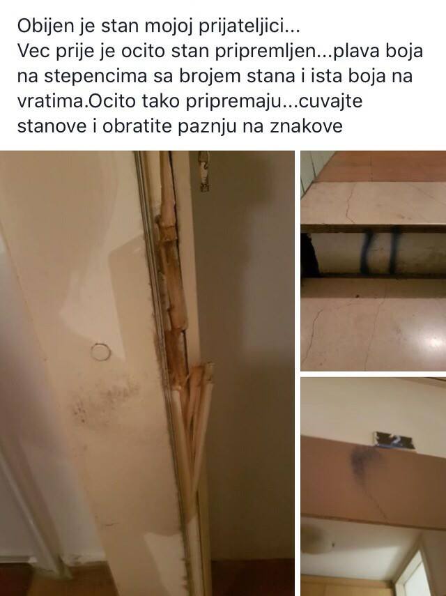 19905023-312060549254518-8162784411872864241-n-128879.jpeg