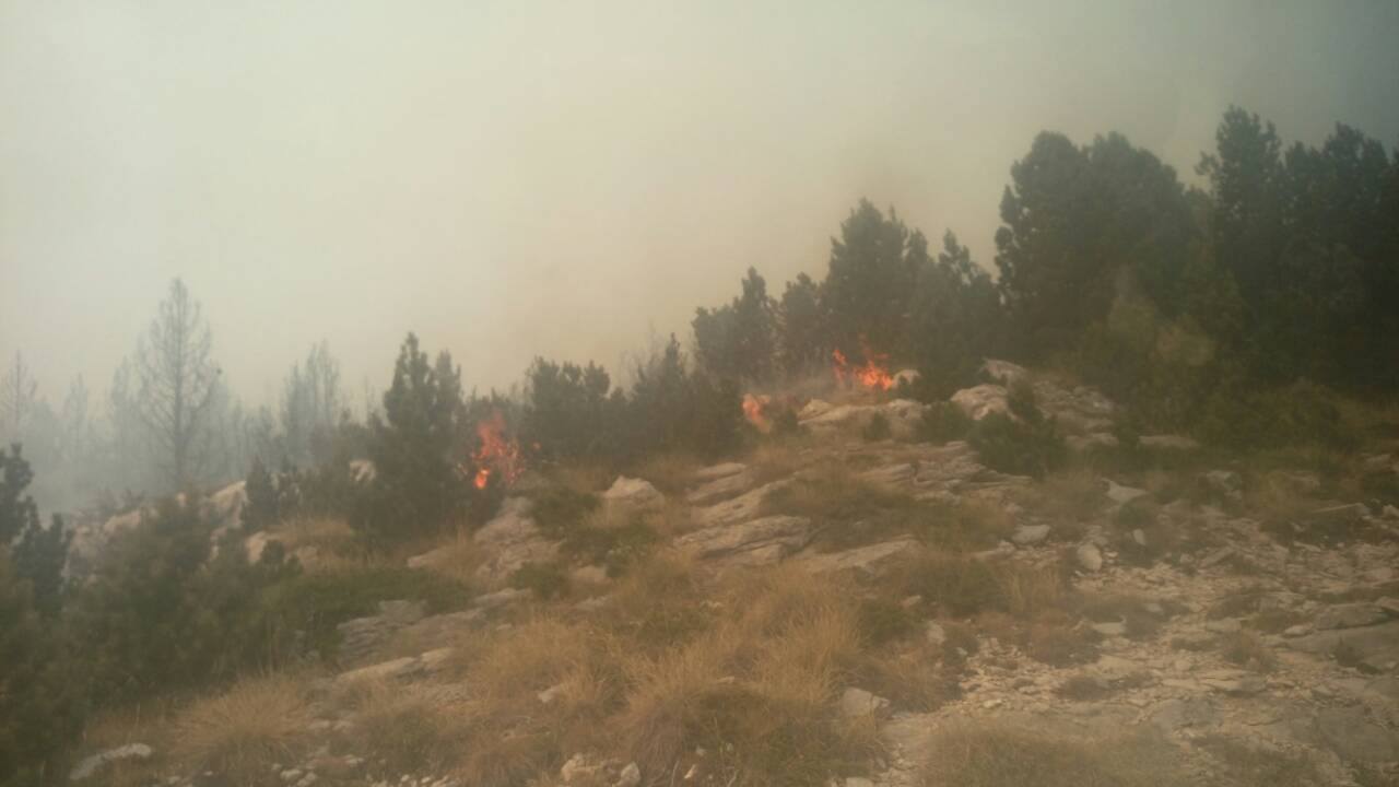 Facebook/HGSS Čitluk - Međugorje