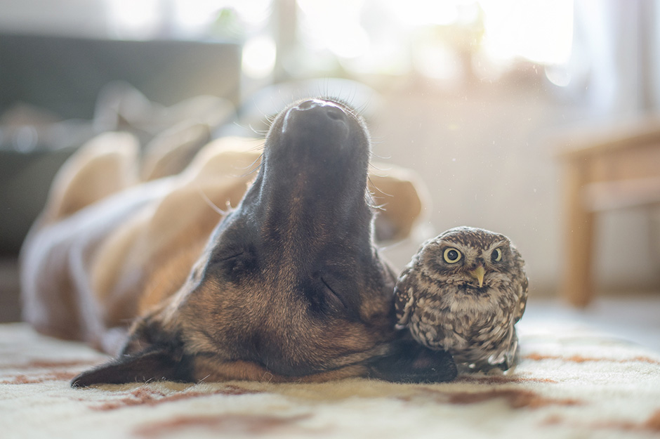 Tanja Brandt