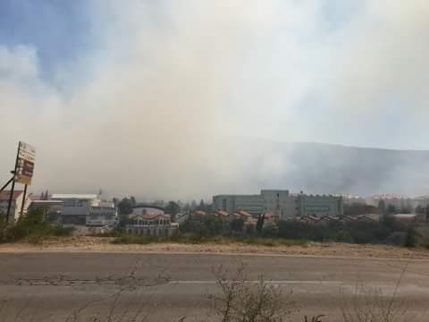 20067797_10154880655673693_1344476154_n