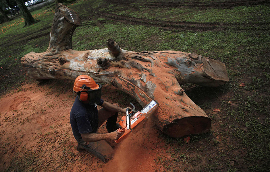 2015-03-18T061656Z_157277601_GM1EB3I13CG01_RTRMADP_3_BRAZIL-ART-TREES