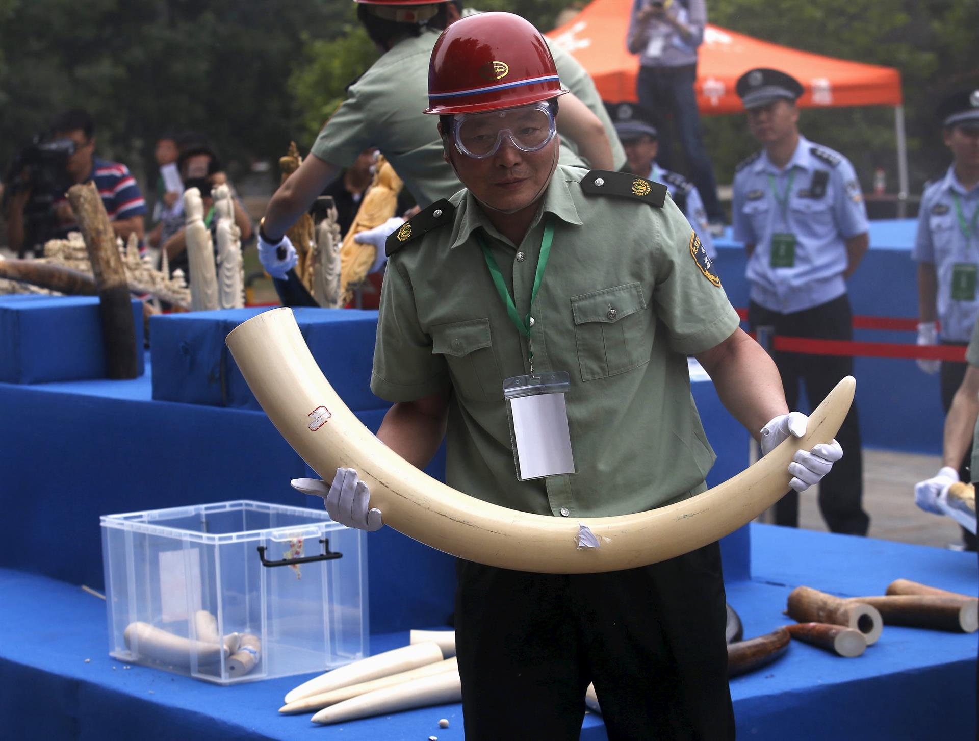 2015-05-29T064844Z_994701532_GF10000111012_RTRMADP_3_CHINA-IVORY