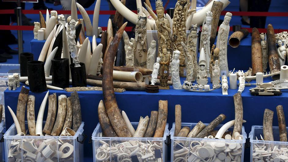 2015-05-29T070627Z_192477544_GF10000111008_RTRMADP_3_CHINA-IVORY