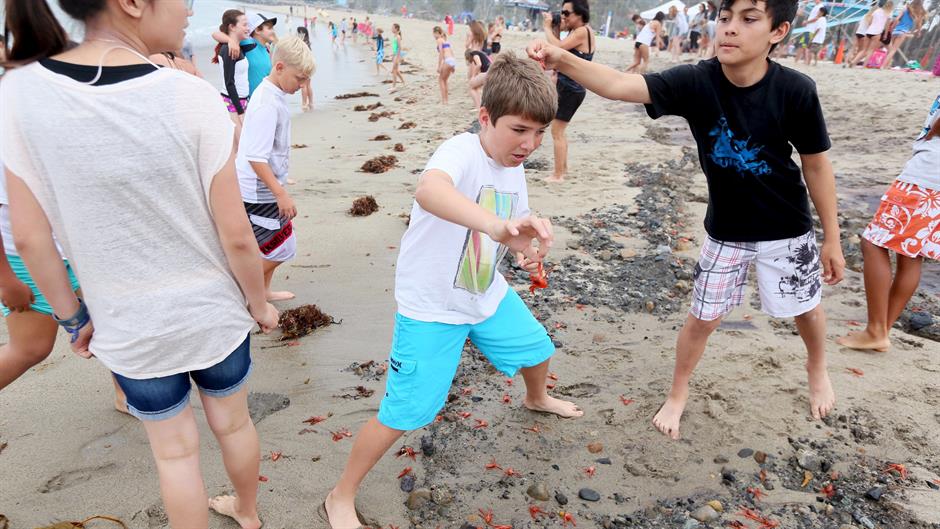 2015-06-17T212215Z_827244695_GF10000131059_RTRMADP_3_USA-CRABS-CALIFORNIA