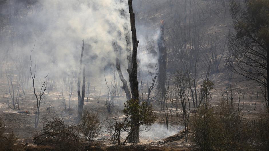 2015-08-04T005824Z_160089896_GF20000012761_RTRMADP_3_USA-WILDFIRES-CALIFORNIA