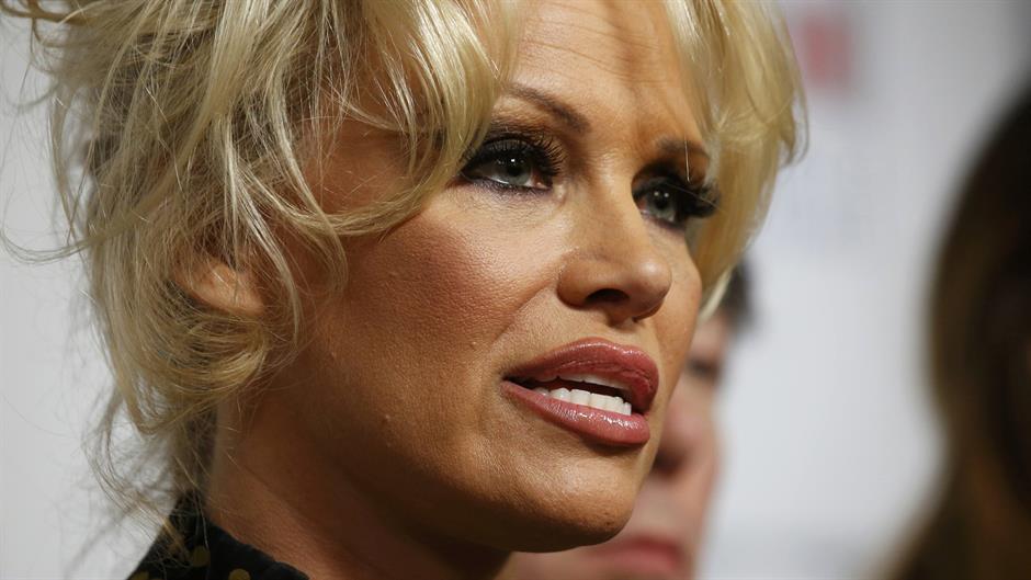 2016-01-19T180112Z_513457107_LR1EC1J1E1PL4_RTRMADP_3_FRANCE-GEESE-ANDERSON