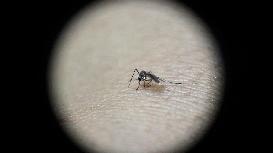 2016-01-28T235143Z_1502462136_GF10000288441_RTRMADP_3_HEALTH-ZIKA-GUATEMALA