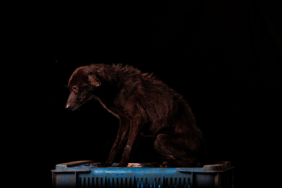 REUTERS/Carlos Garcia