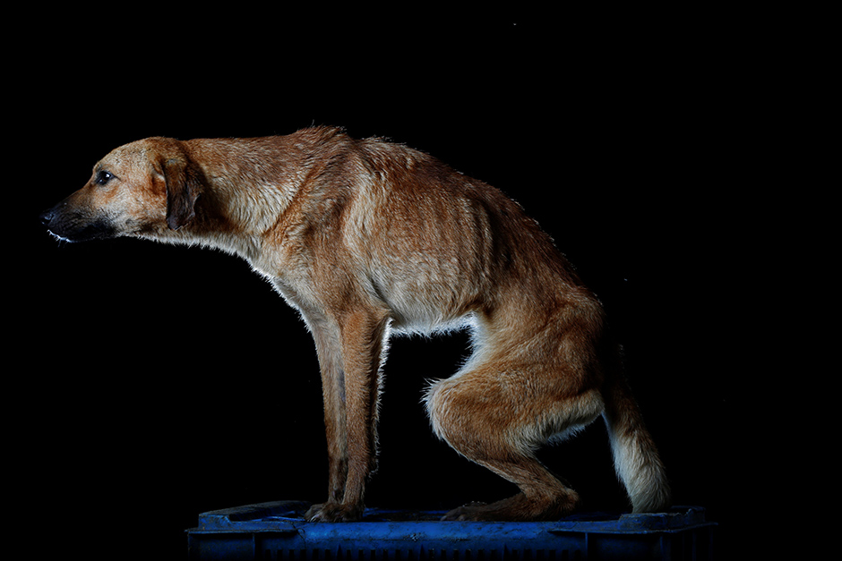 REUTERS/Carlos Garcia