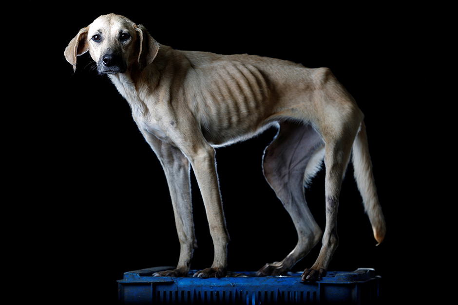 REUTERS/Carlos Garcia