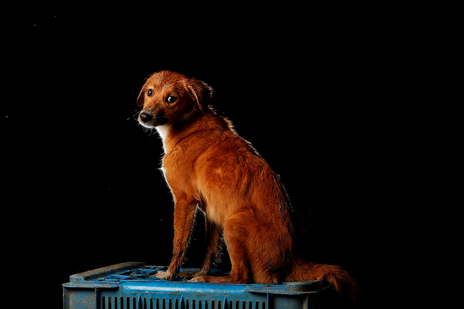 REUTERS/Carlos Garcia