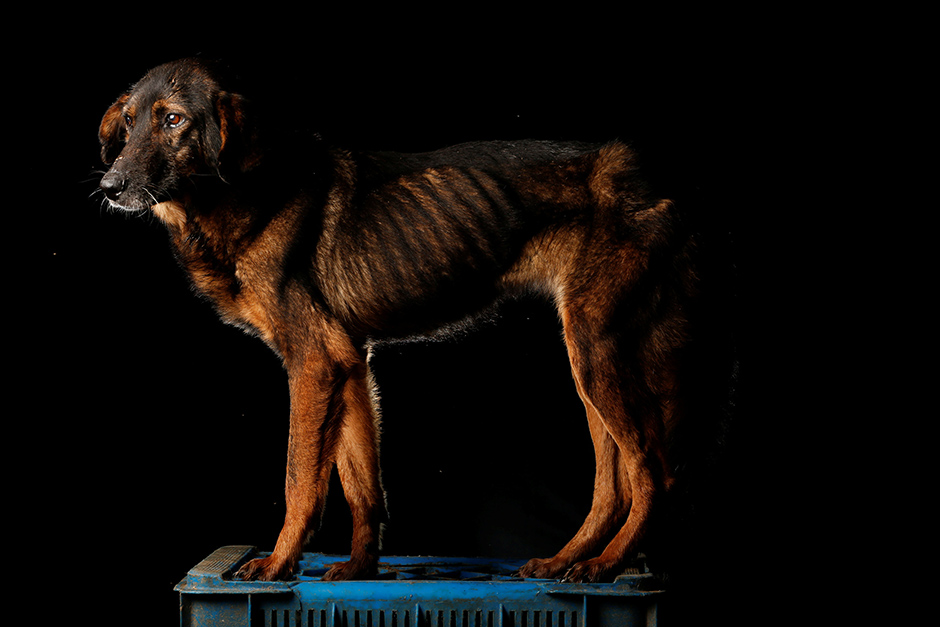 REUTERS/Carlos Garcia