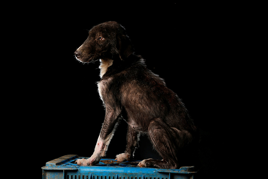 REUTERS/Carlos Garcia