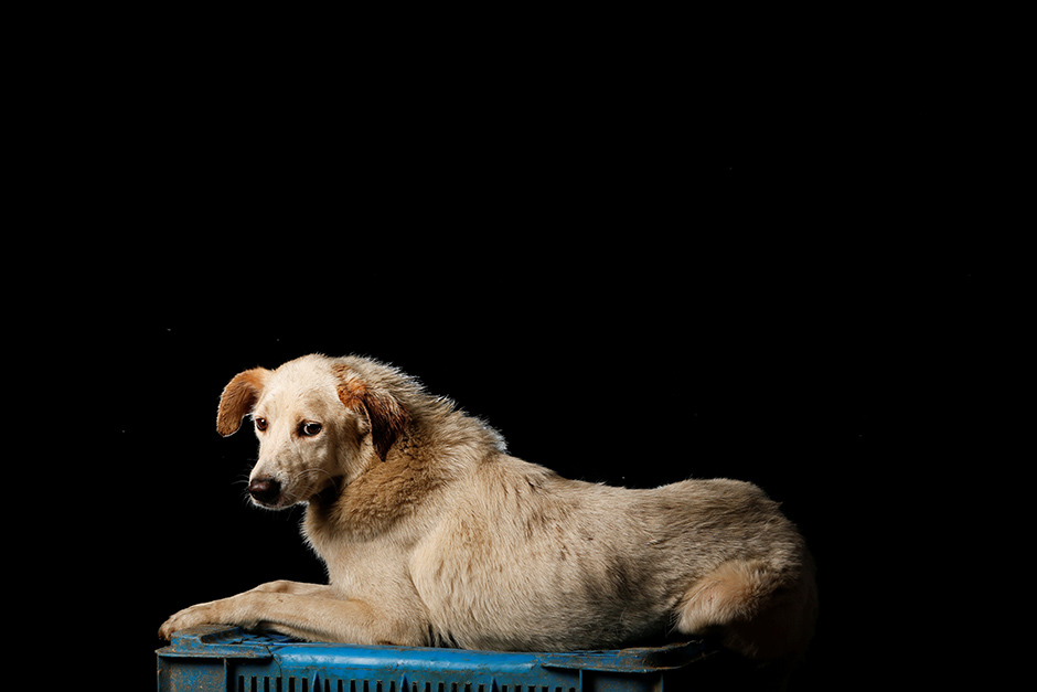 REUTERS/Carlos Garcia