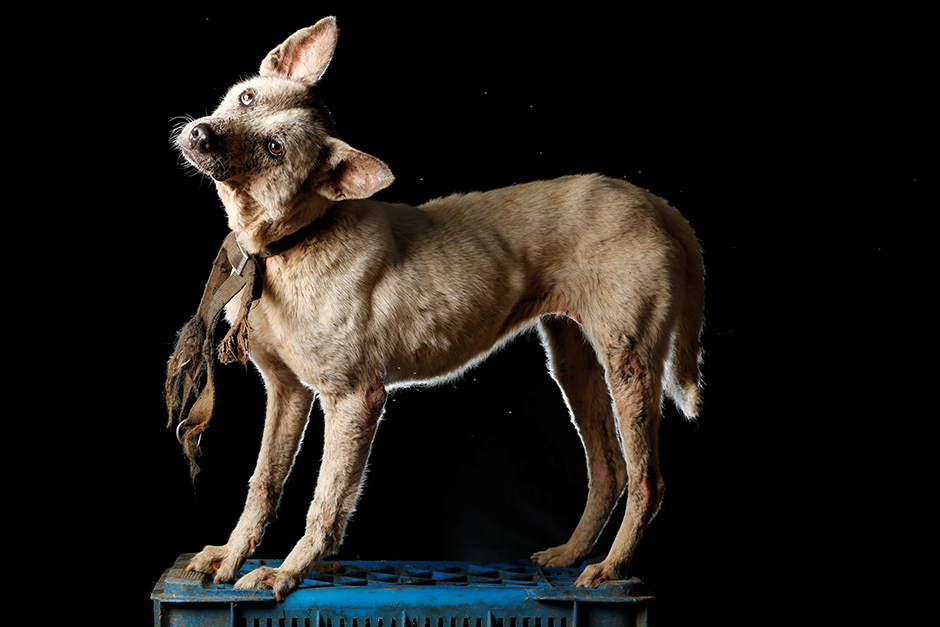 REUTERS/Carlos Garcia