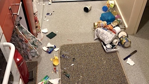 2016-11-13T154757Z_1893807308_S1BEUMPUWJAC_RTRMADP_3_QUAKE-NEWZEALAND