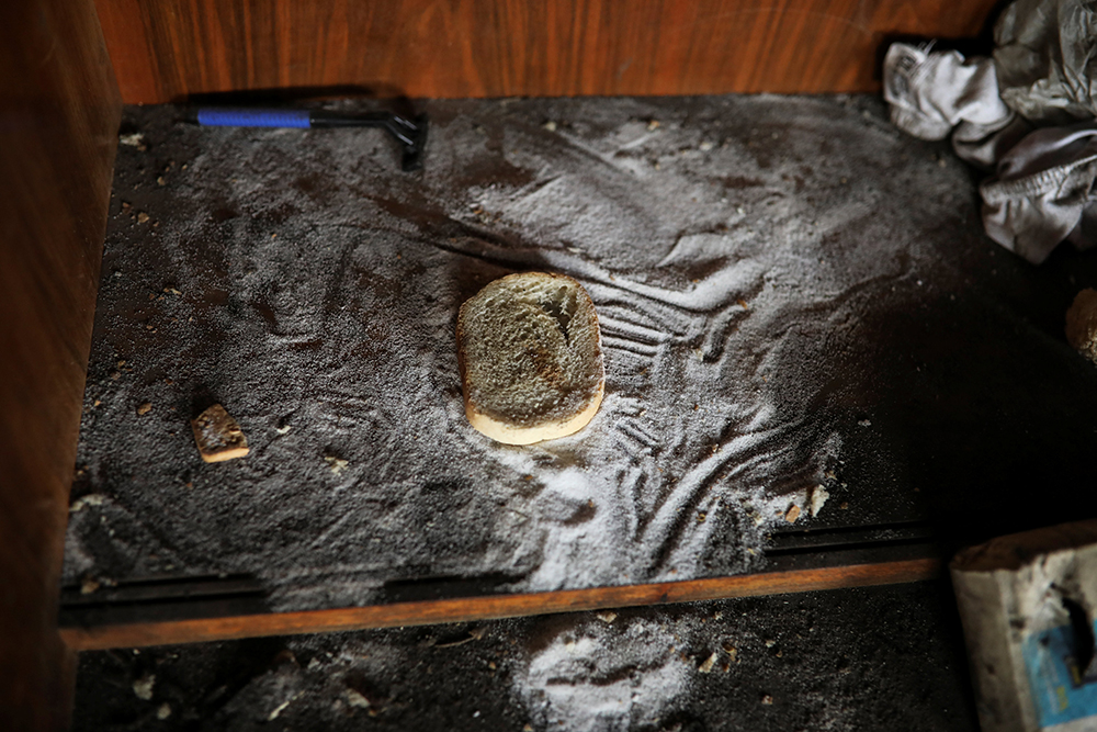 REUTERS/Marko Đurica