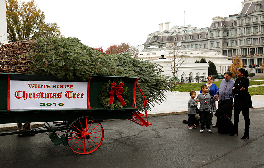 Reuters/Gary Cameron