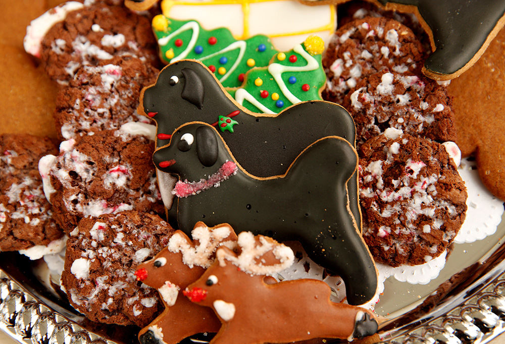 Reuters/Kevin Lamarque