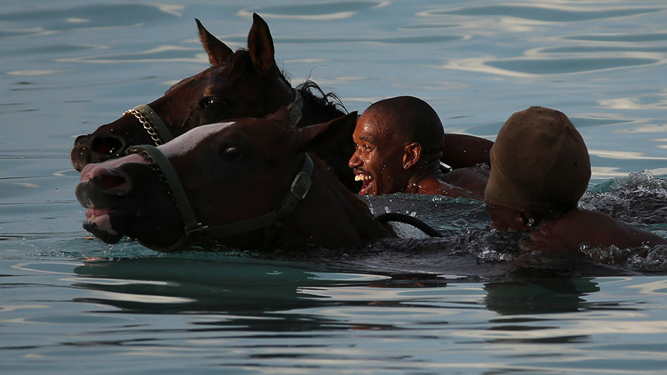 2016-12-01T140800Z_1555510180_RC125CD6F820_RTRMADP_3_BARBADOS-HORSES 11