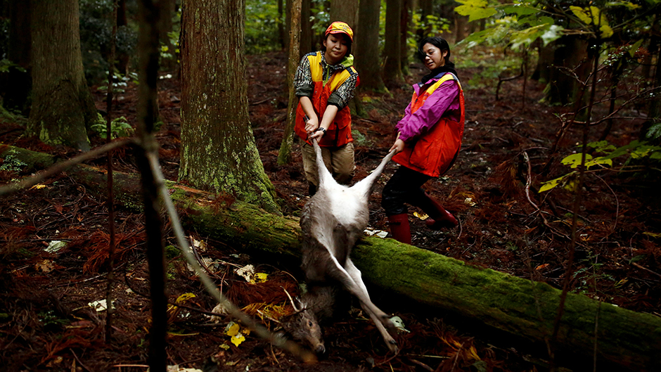 2016-12-22T140624Z_941837915_RC1B58738500_RTRMADP_3_JAPAN-WOMEN-HUNTERS (2)