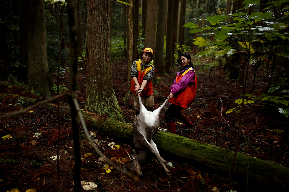 REUTERS/Thomas Peter