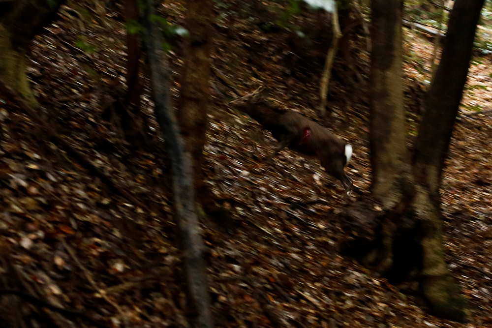 REUTERS/Thomas Peter