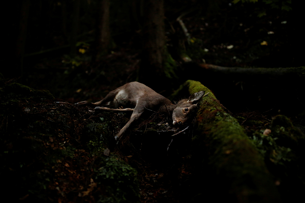 REUTERS/Thomas Peter