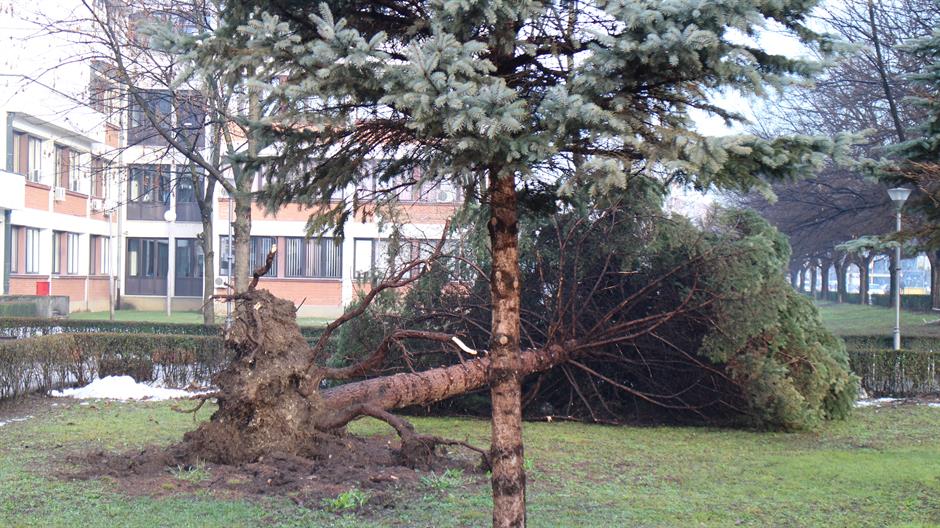 20160112_2_13751910_4476992