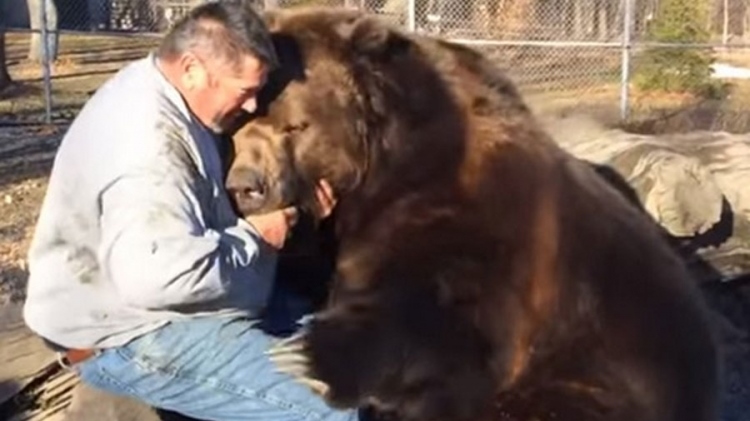 20160112213009_347557