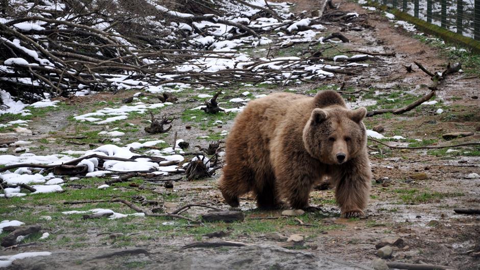 20160124_2_13950881_4855480