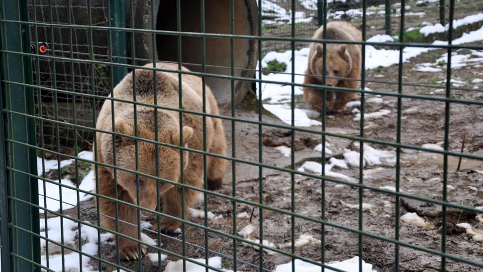 20160124_2_13950881_4855481