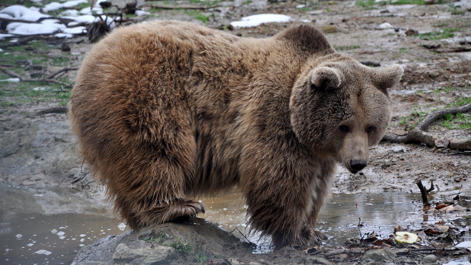 20160124_2_13950881_4855482