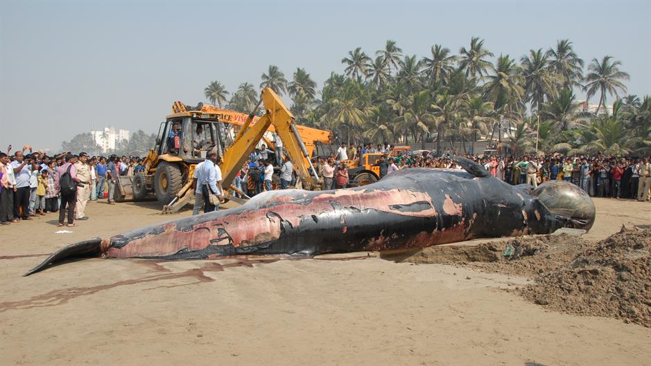 20160129_2_14032478_5011754