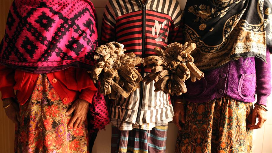 20160131_2_14053389_5059309